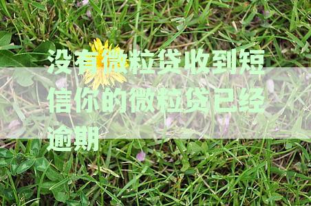没有微粒贷收到短信你的微粒贷已经逾期