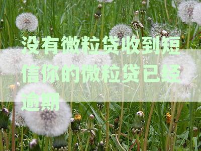 没有微粒贷收到短信你的微粒贷已经逾期