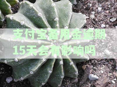 七天备用金可以逾期几天还款，逾期还款多久会产生利息