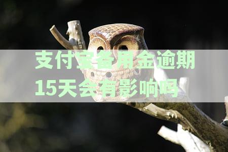 支付宝备用金逾期15天会有影响吗怎么办