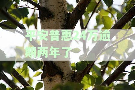 平安普20万逾期两年:利息多少,怎么办?