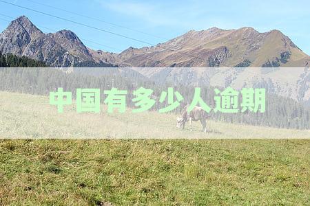 中国失信人数创新高：逾期逾期2024数据透视