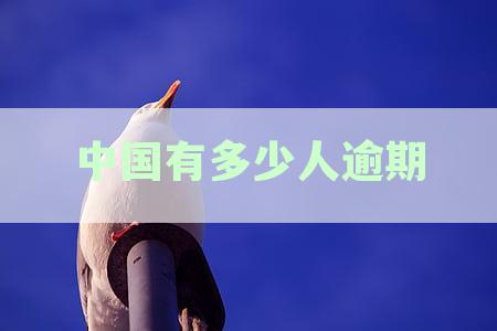 2020-2021年中国有多少人逾期了贷款：逾期人数统计分析