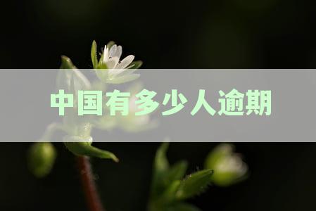 中国有多少人逾期