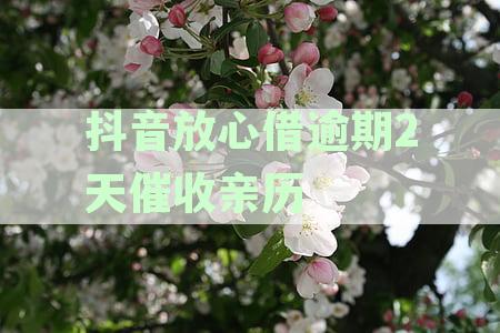 抖音放心借逾期后会怎么样？了解逾期的影响及解决方法