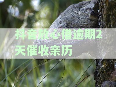 抖音放心借逾期后几天会上征信？逾期影响及解决办法解析！