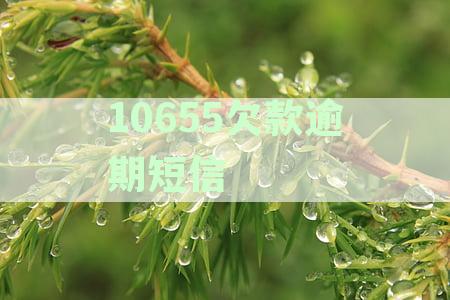 10655欠款逾期短信