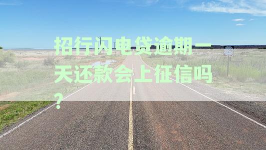 招行闪电贷逾期一天还款会上征信吗：影响及解决办法探究