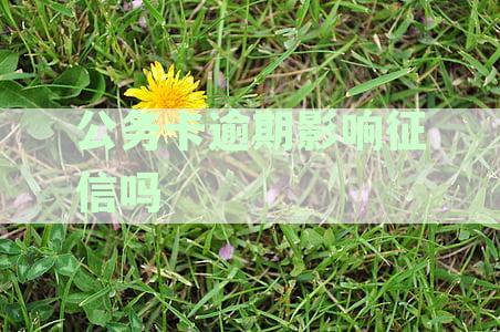 公务卡逾期不还，单位承担何责？逾期后果及义务解析