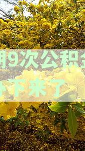 逾期9次后仍可办理公积金贷款吗？关注住房贷款最新政策