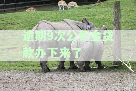 逾期四次公积金贷款会拒批吗-逾期4次公积金贷款办下来了