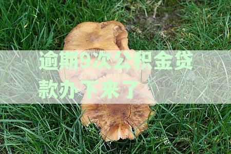 探究公积金贷款逾期次数：几次逾期会影响您的贷款申请？
