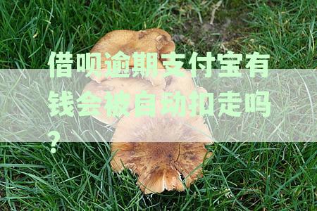 标题：借呗逾期会被支付宝自动扣款吗？银行银行卡资讯详解