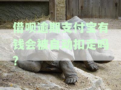 借呗逾期后，支付宝是否会自动扣款及处理方式