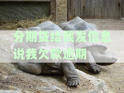 收到短信称欠款逾期，怎么回事？分期贷款说我逾期，如何处理？