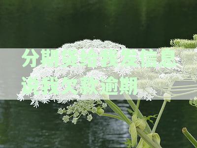 分期贷给我发信息说我欠款逾期还有退订-分期贷给我发信息说我欠款逾期还有退订回复