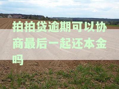 拍拍贷逾期后能否协商一次性还本金？真相揭秘！