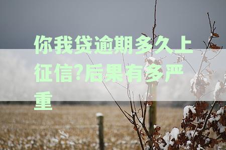 你我贷逾期多久会被起诉？来看看这视频揭秘！