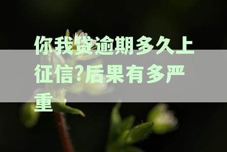 你我贷逾期会面临什么严重后果？2021年最新逾期影响解析
