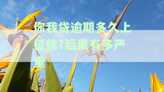 你我贷逾期多久上征信?后果有多严重