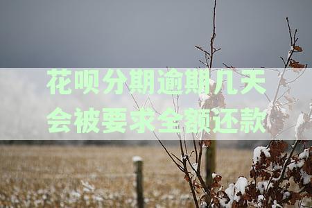 标题：花呗分期逾期几天会有什么后果？逾期影响分期及后果解析