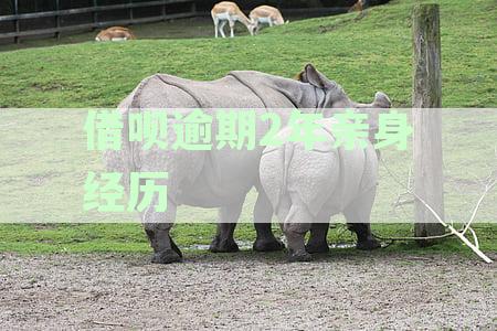 借呗逾期两年会被起诉吗？逾期两年后果及应对策略解析