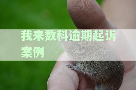我来数科欠款逾期，工作人员真的会上门讨债吗？