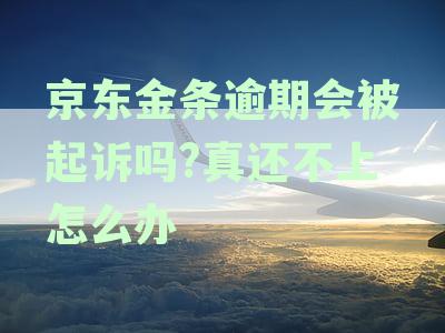 京东金条与白条逾期多久可能导致起诉？逾期影响及解决方式解析