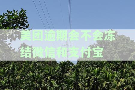 美团逾期会被冻结微信和支付宝账户吗？银行卡也受影响吗？最新资讯解析
