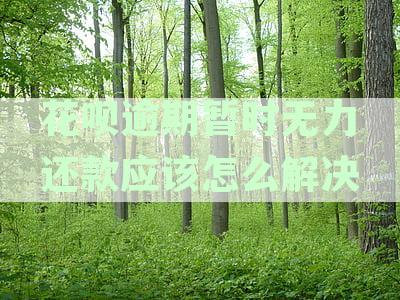 花呗逾期暂时无力还款应对策略及是否会起诉