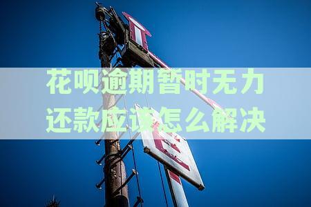 【支付宝花呗借呗逾期还款协商指南】无力还款怎么办？电话操作详解