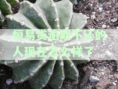 如何解决恒易贷逾期无法还款的问题？基层用户操作指南