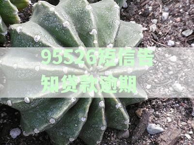 95526短信告知贷款逾期是真的吗：95526与95568通知贷款及逾期真相