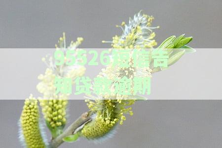 收到95526短信通知贷款逾期，该如何处理及解决办法