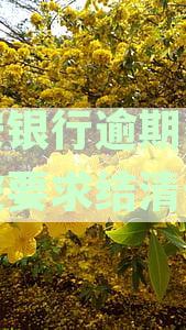 平安银行逾期多久会被要求结清全额退款,停卡和起诉,上征信时间