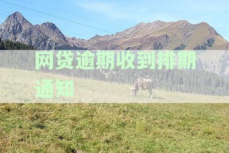逾期贷款遭遇排期，网友收到短信通知