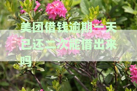 美团借钱逾期一天后还款，以后还能不能再借？最新资讯详解影响与应对策略