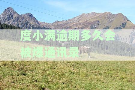 度小满逾期多久会被爆通讯录