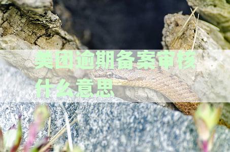 美团逾期备案审核什么意思？美团逾期3天说备案文书已送户地，是真的吗？
