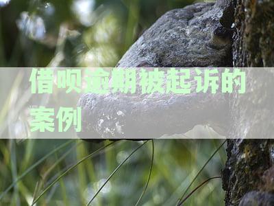 深圳之窗：蚂蚁借呗逾期被起诉案例深度分析