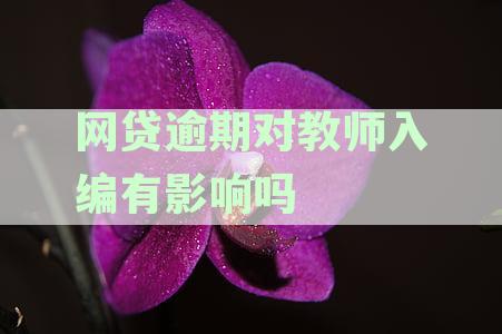教师入编受网贷逾期影响吗？详细了解其作用与影响