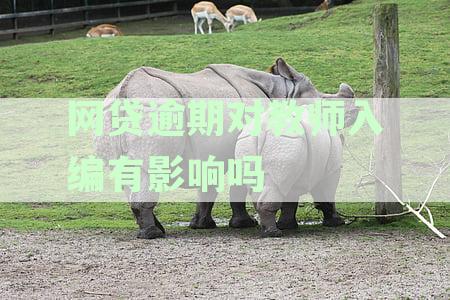 网贷逾期会影响教师招聘录用吗：解决对策与入编影响