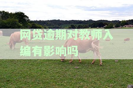 网贷逾期对教师入编有影响吗