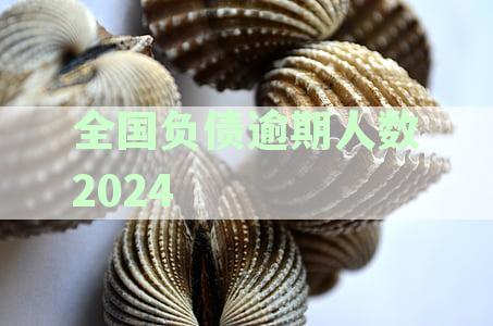 全国负债逾期人数2024年增至7亿，逾期率42%，2020年负债率逾期率分析