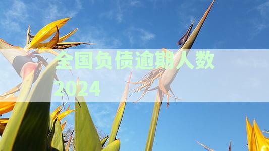 全国负债逾期人数2024年增加多少？中国负债逾期人数及全国负债逾期率解析