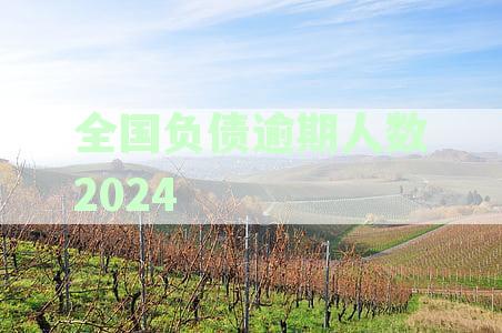 2024年中国负债逾期人数最新数据曝光：逾期率攀升，债务管理面临挑战