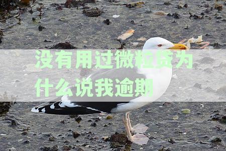 没有申请过微粒贷款，却收到短信说我有逾期欠款，怎么回事？