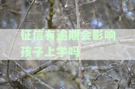 信用卡逾期还款将影响孩子上学？征信记录关联家庭教育引关注