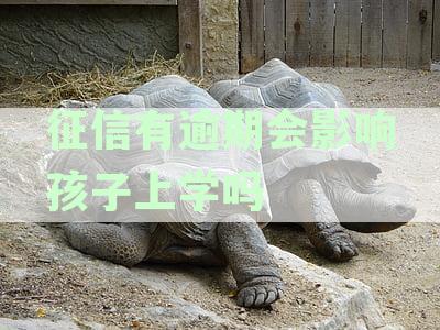 信用卡逾期还款未还清，会影响小孩上学，如何解决？