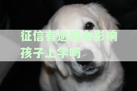 信用卡逾期会影响子女上学，母征信问题对小孩产生的负面影响